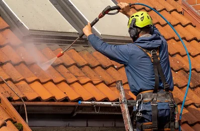 Démoussage et hydrofuge de toiture à Coussay